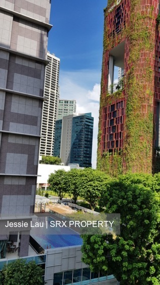 Blk 7 Tanjong Pagar Plaza (Central Area), HDB 4 Rooms #172233122
